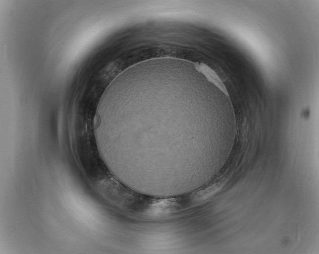 X0000090500382200707280006