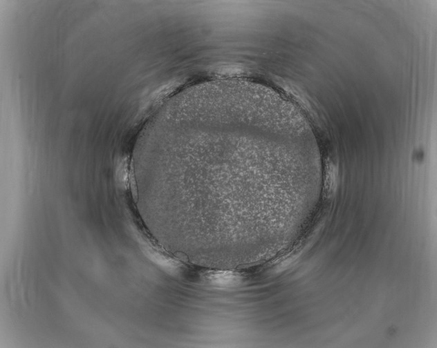 X0000090500383200707280006