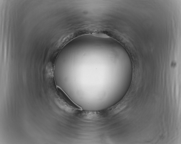 X0000090500384200707280006