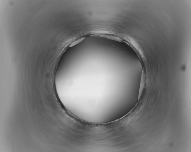 X0000090500385200707280006