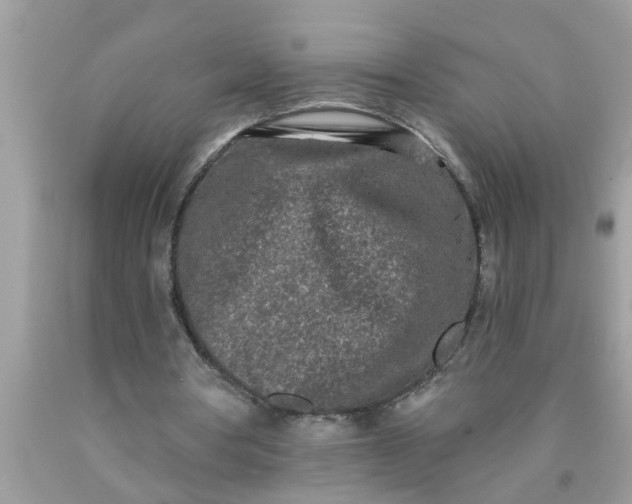 X0000090500386200707280006