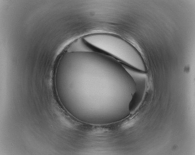 X0000090500387200707280006