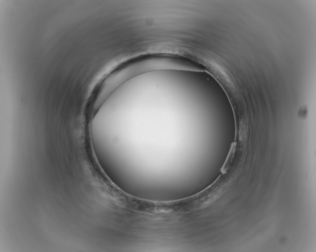 X0000090500388200707280006