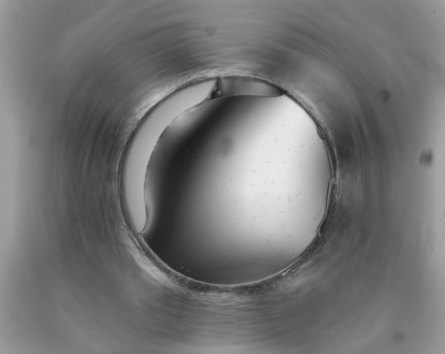 X0000090500389200707280006