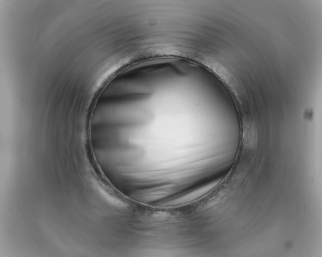 X0000090500390200707280006