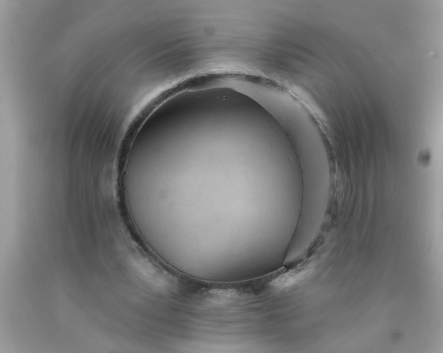 X0000090500391200707280006