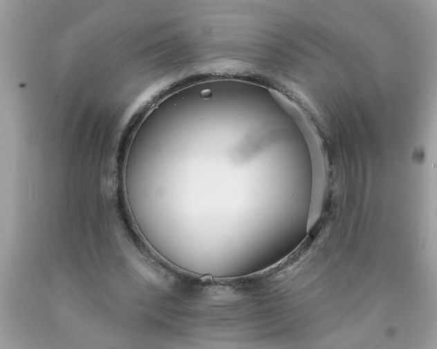 X0000090500392200707280006