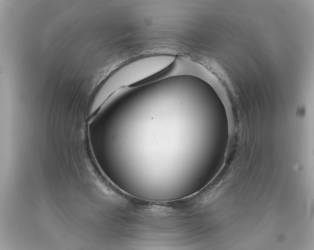 X0000090500393200707280006