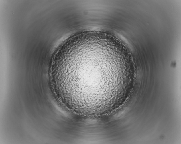 X0000090500394200707280006