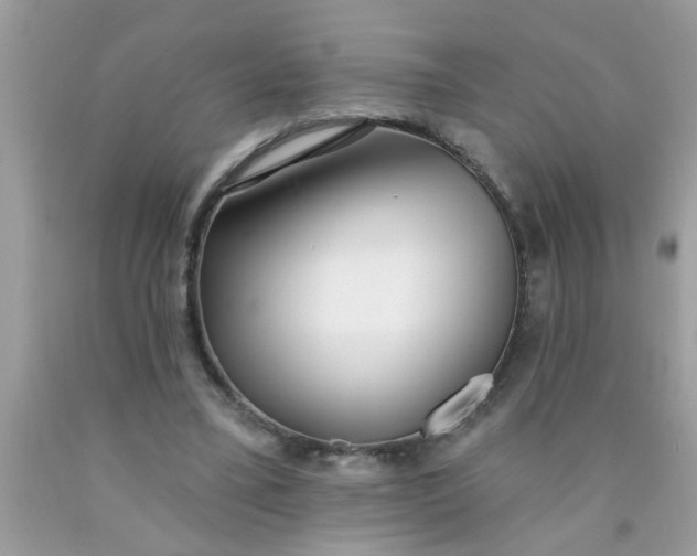 X0000090500395200707280006