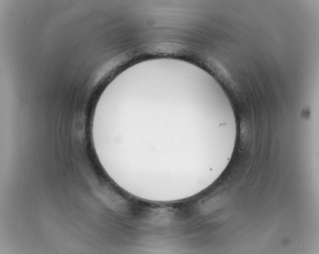 X0000090500396200707280006