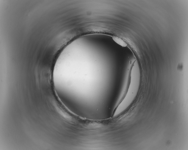 X0000090500397200707280006