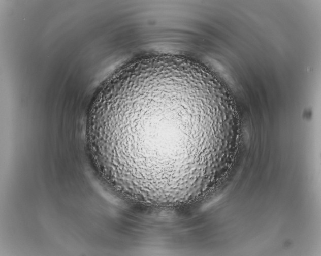 X0000090500398200707280006