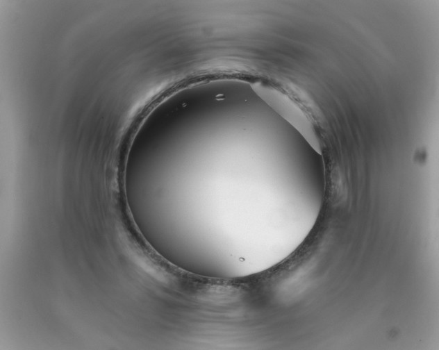 X0000090500399200707280006