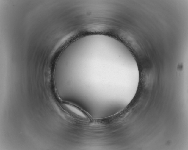 X0000090500400200707280006