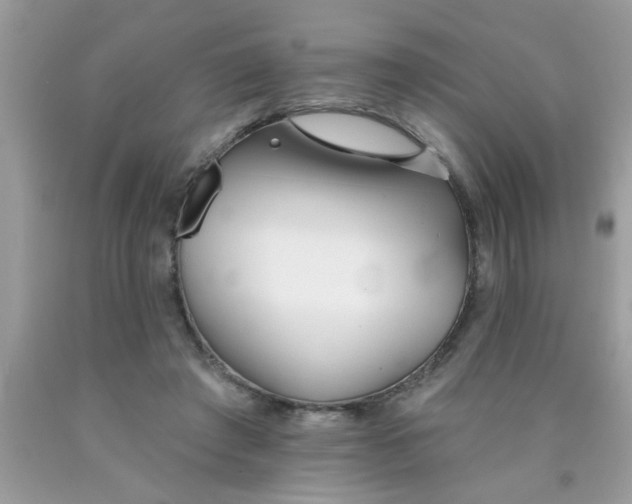 X0000090500401200707280006