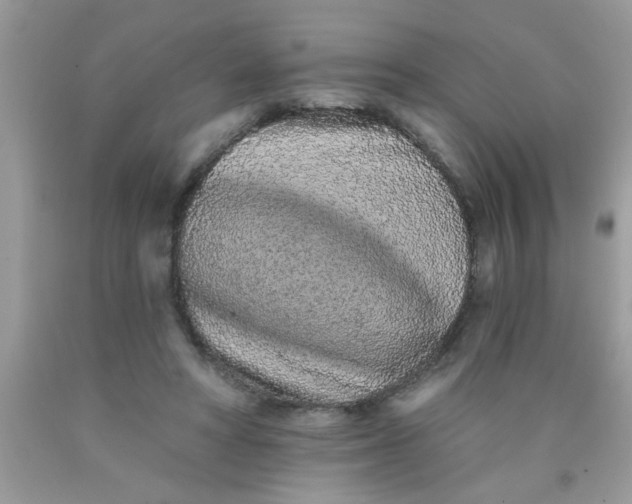 X0000090500402200707280005