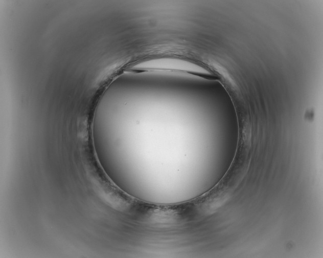 X0000090500403200707280005