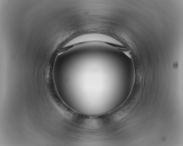 X0000090500404200707280005