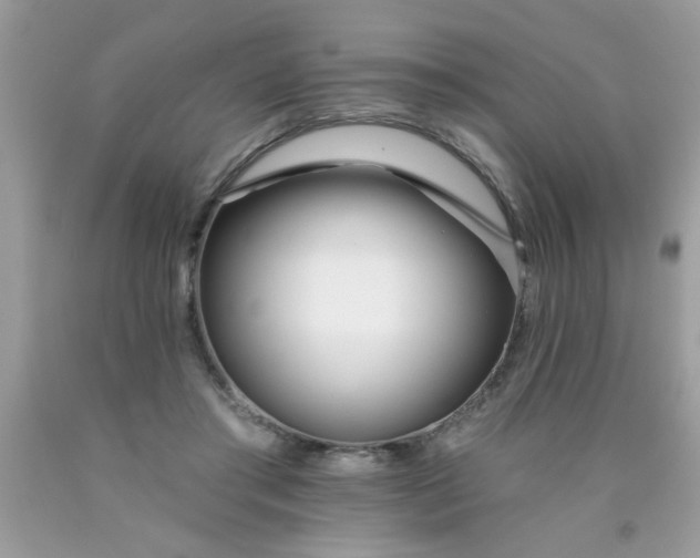 X0000090500405200707280005