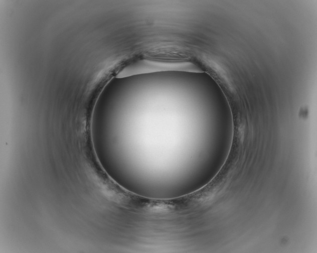 X0000090500407200707280005