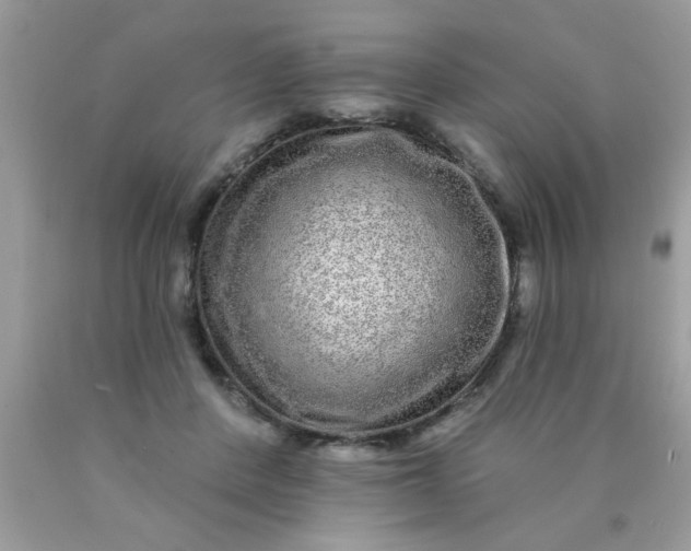 X0000090500408200707280005