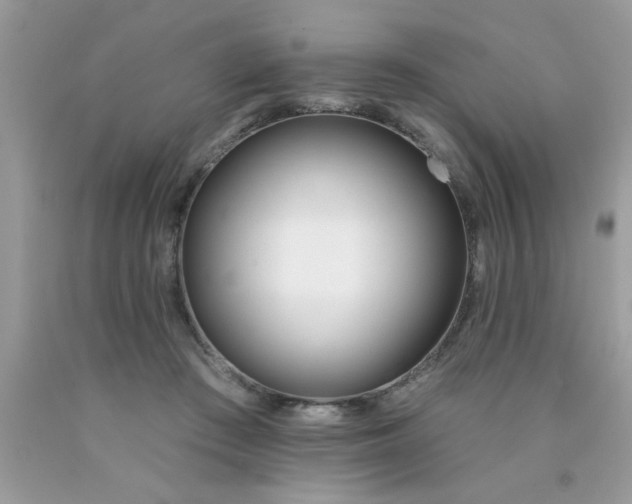 X0000090500409200707280005