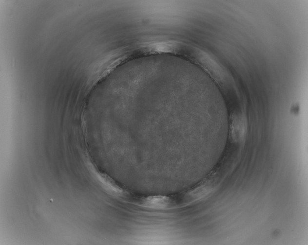 X0000090500410200707280005