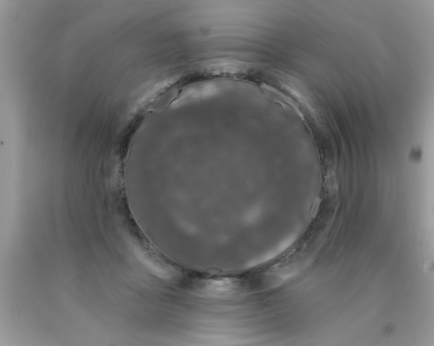 X0000090500411200707280005