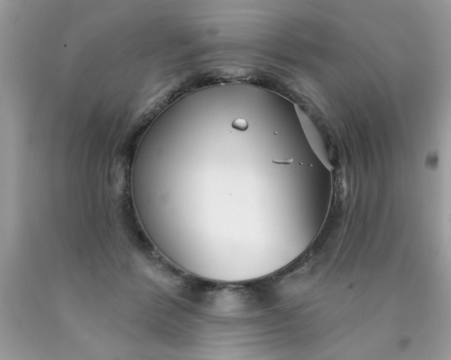 X0000090500412200707280005