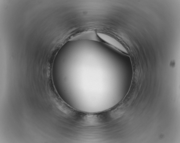 X0000090500413200707280005