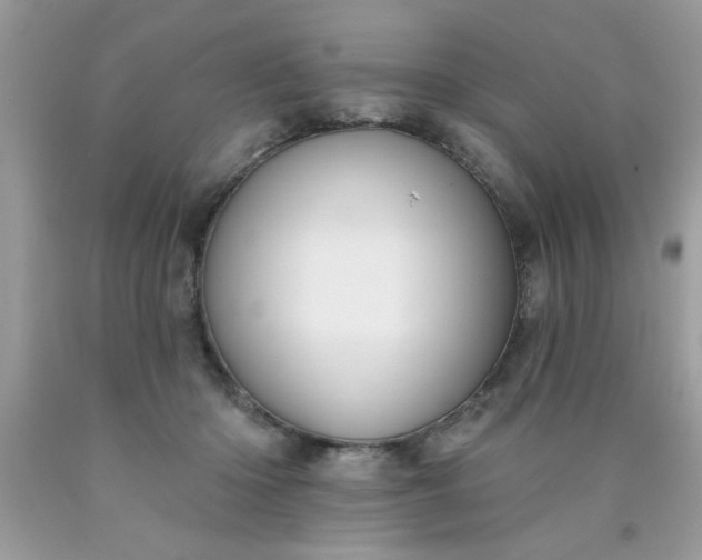 X0000090500414200707280005