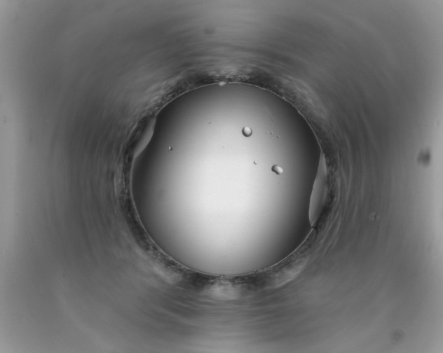 X0000090500416200707280005