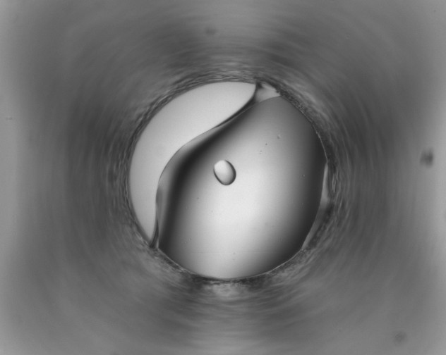 X0000090500417200707280005