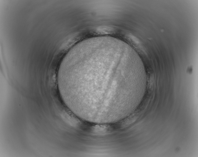 X0000090500418200707280005