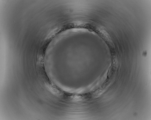 X0000090500419200707280005