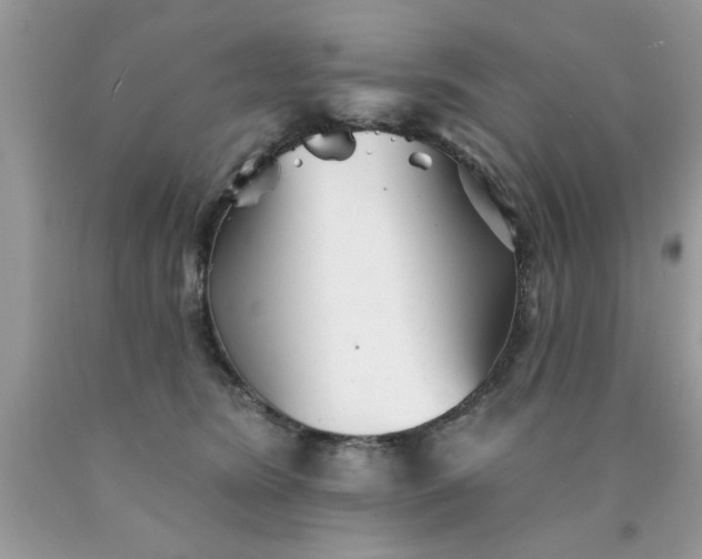 X0000090500420200707280005