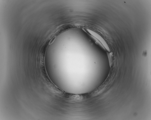 X0000090500421200707280005