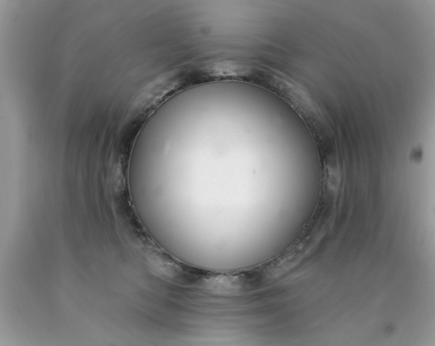 X0000090500422200707280005