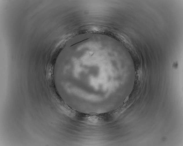 X0000090500423200707280005