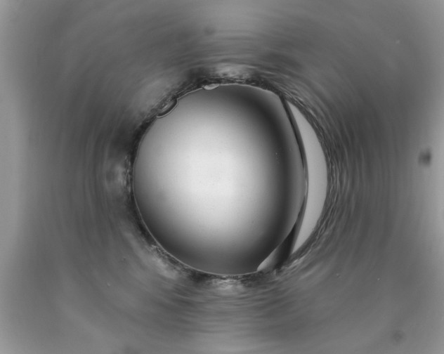 X0000090500424200707280005