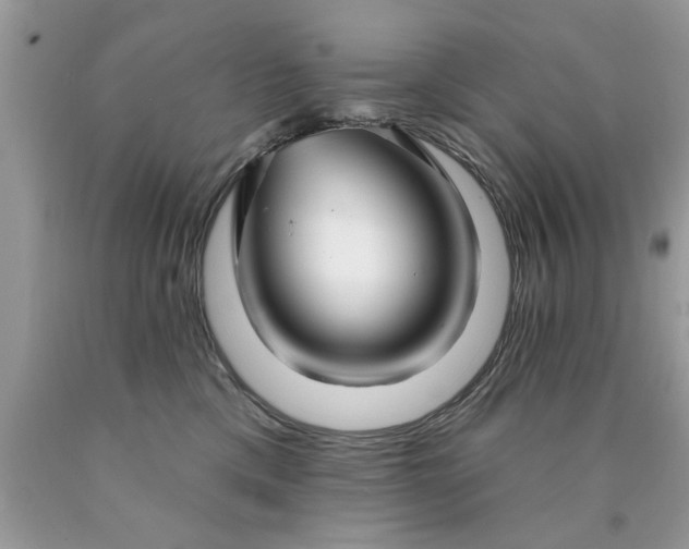 X0000090500425200707280005