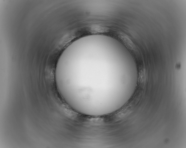 X0000090500426200707280005