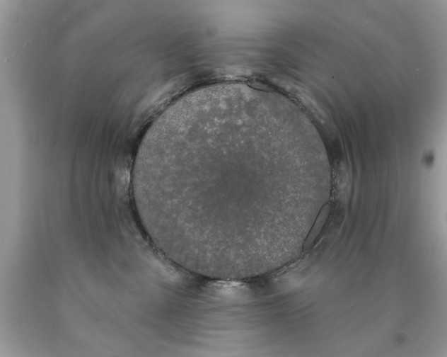 X0000090500427200707280005