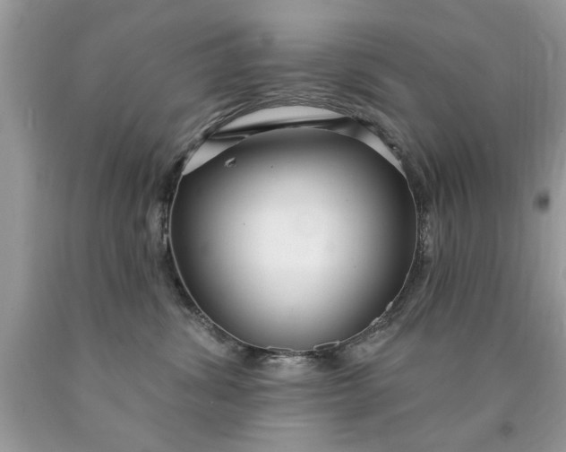 X0000090500428200707280005