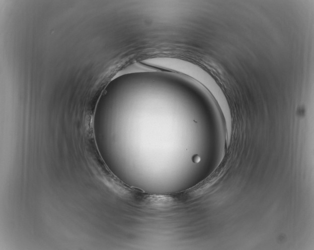 X0000090500429200707280005