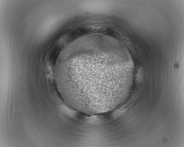 X0000090500430200707280005