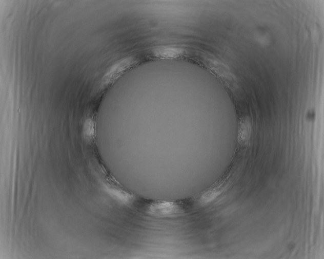 X0000090500431200707280005