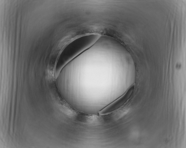 X0000090500432200707280005