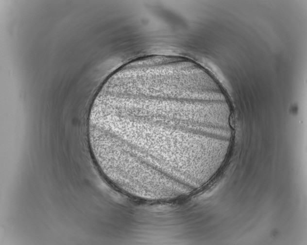 X0000090500433200707280004